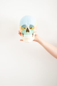 Ottawa branding photographer for physio clinic